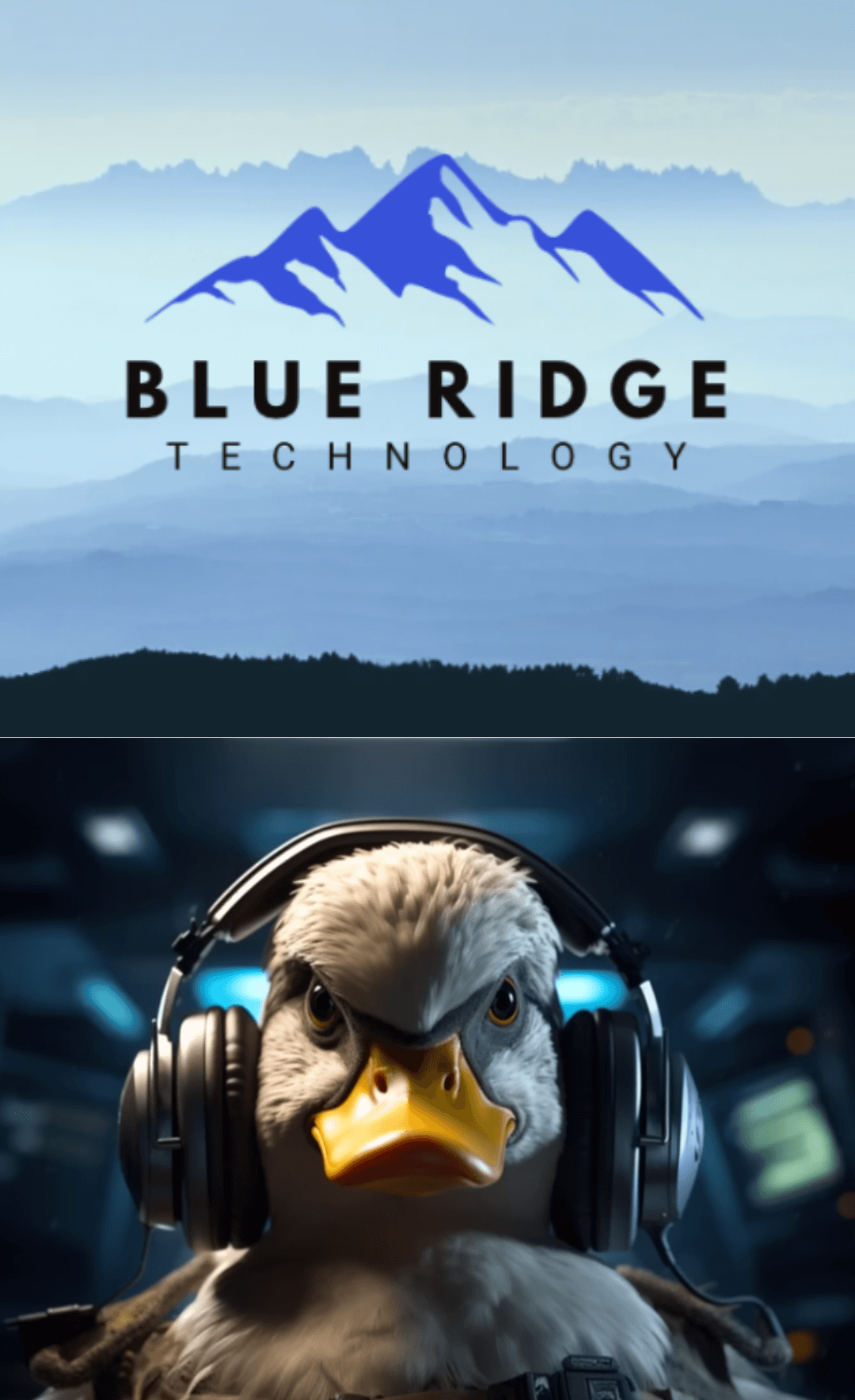 SSL Duck and ProSolutions are members of the Blue Ridge Technology Family of Companies